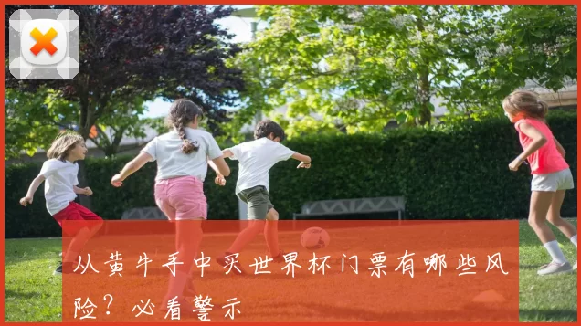 从黄牛手中买世界杯门票有哪些风险？必看警示