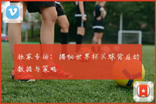 独家专访：揭秘世界杯买球背后的数据与策略