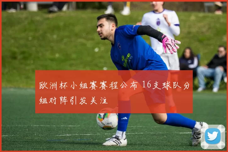 欧洲杯小组赛赛程公布 16支球队分组对阵引发关注