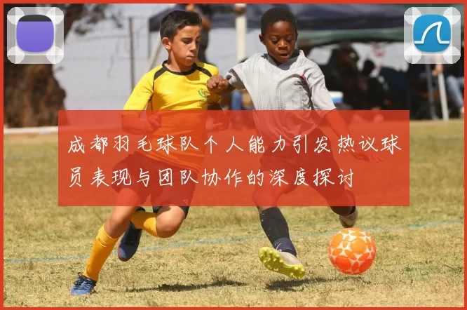 成都羽毛球队个人能力引发热议球员表现与团队协作的深度探讨