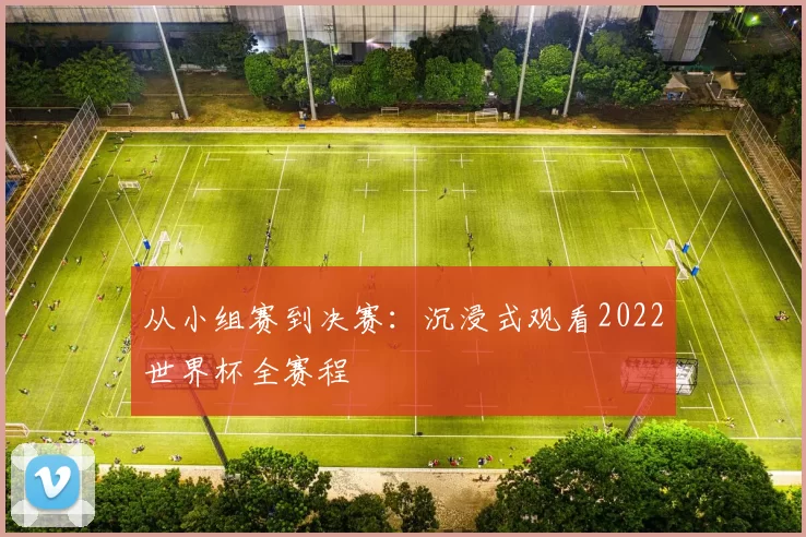 从小组赛到决赛:沉浸式观看2022世界杯全赛程