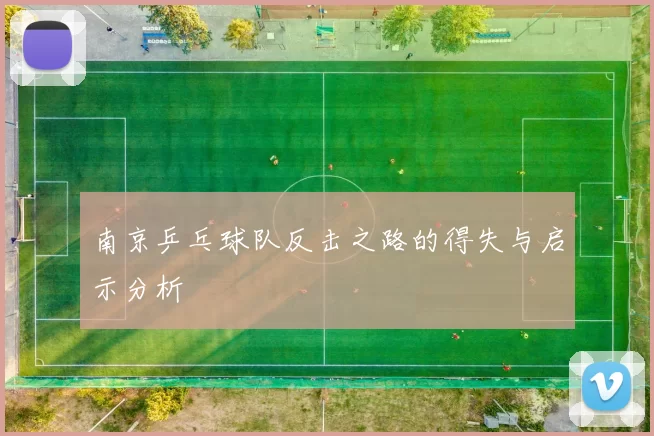 南京乒乓球队反击之路的得失与启示分析