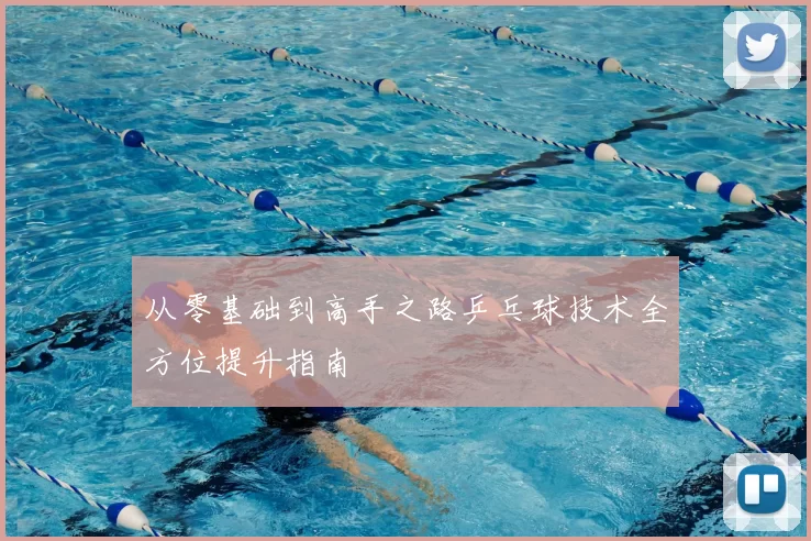 从零基础到高手之路乒乓球技术全方位提升指南