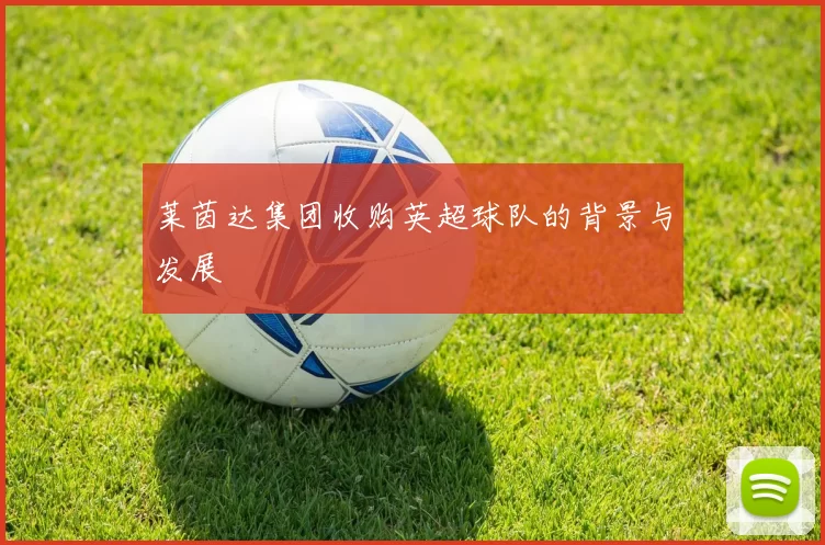 莱茵达集团收购英超球队的背景与发展