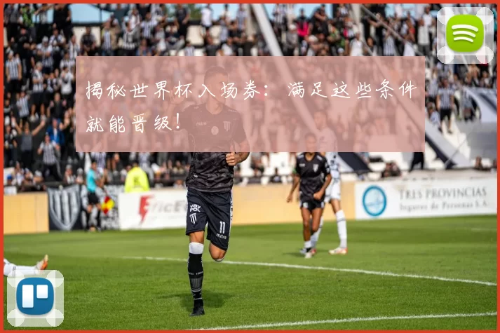 揭秘世界杯入场券：满足这些条件就能晋级！