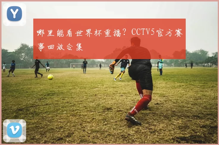 哪里能看世界杯重播?CCTV5官方赛事回放合集
