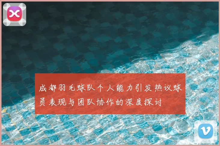 成都羽毛球队个人能力引发热议球员表现与团队协作的深度探讨