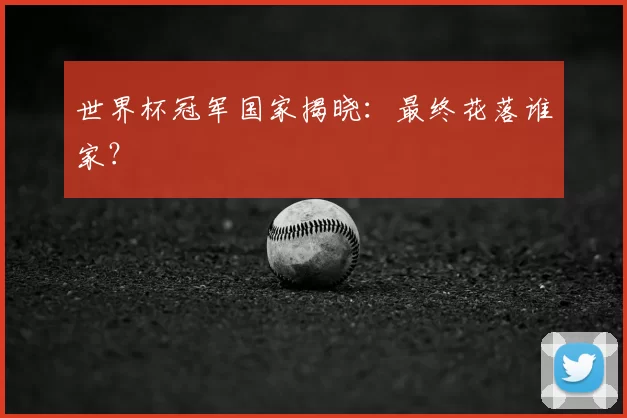 世界杯冠军国家揭晓：最终花落谁家？