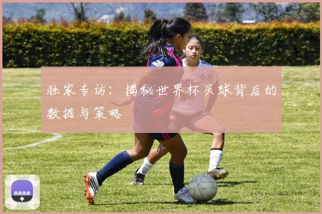 独家专访：揭秘世界杯买球背后的数据与策略