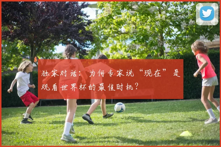独家对话:为何专家说“现在”是观看世界杯的最佳时机?